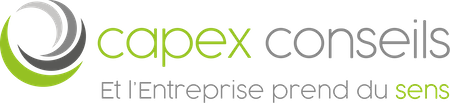 Logo Capex conseil