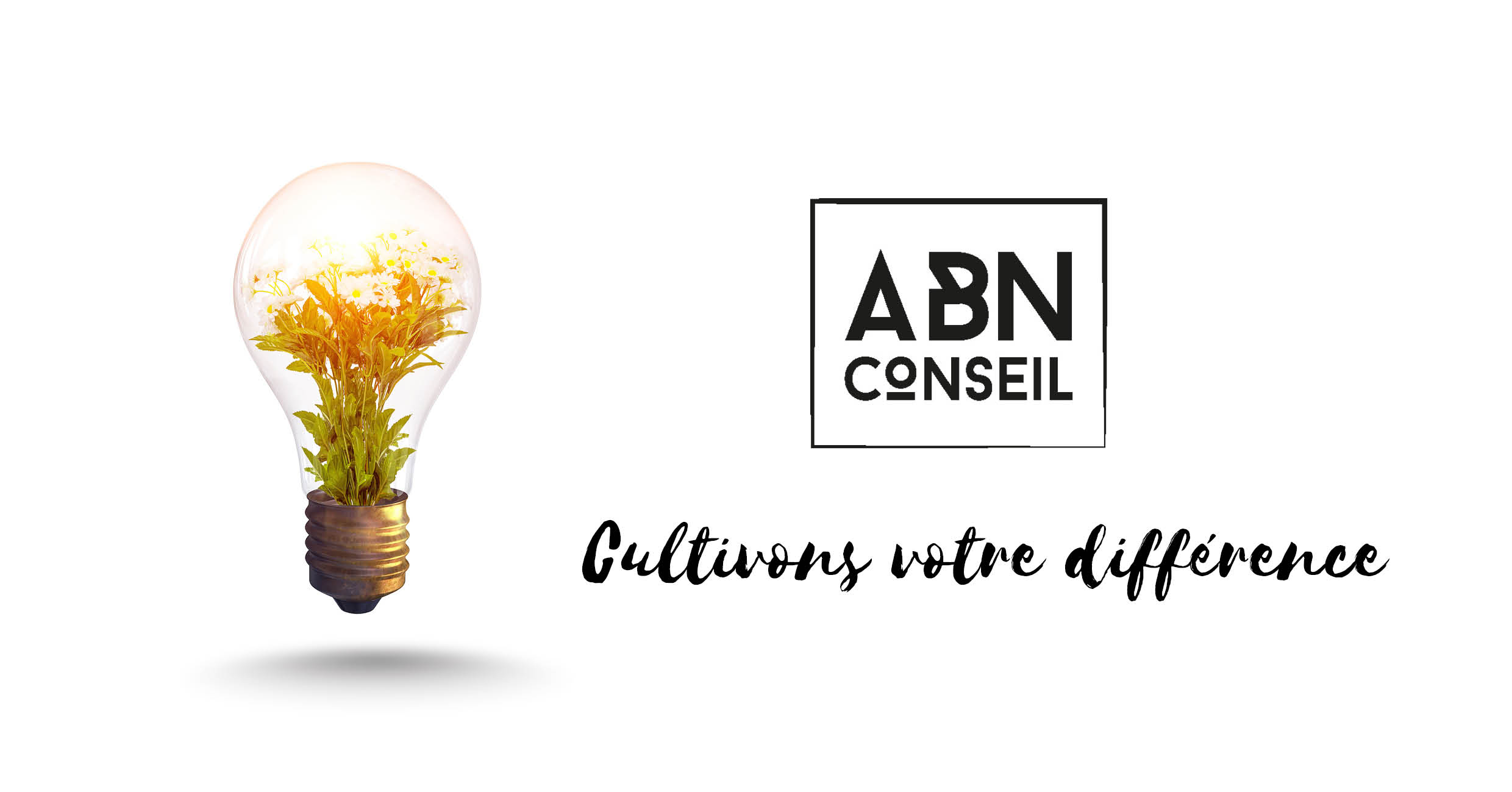 Zoom sur nos clients, aujourd'hui ABN CONSEIL